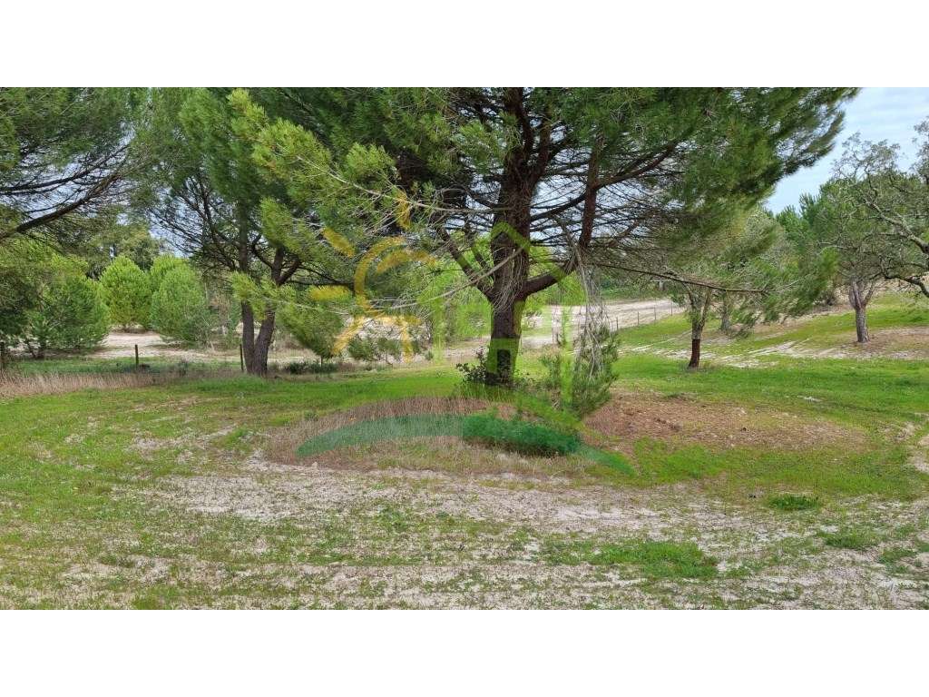 Terreno na Herdade Zambujeiro em Santo Estevão-5