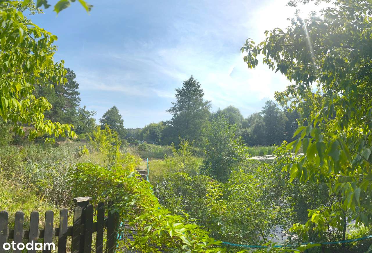 dom w lesie nad zakolem rzeki-17