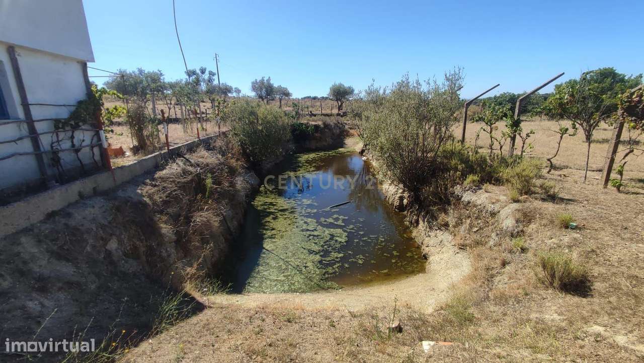 QUINTA NOS ESCALOS DE BAIXO COM 7625 m2 - Grande imagem: 2/29