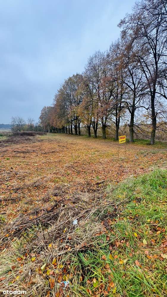 Ekskluzywna działka 2295 m² w Kępnie – przestrzeń i prestiż - Pełny obrazek: 2/5