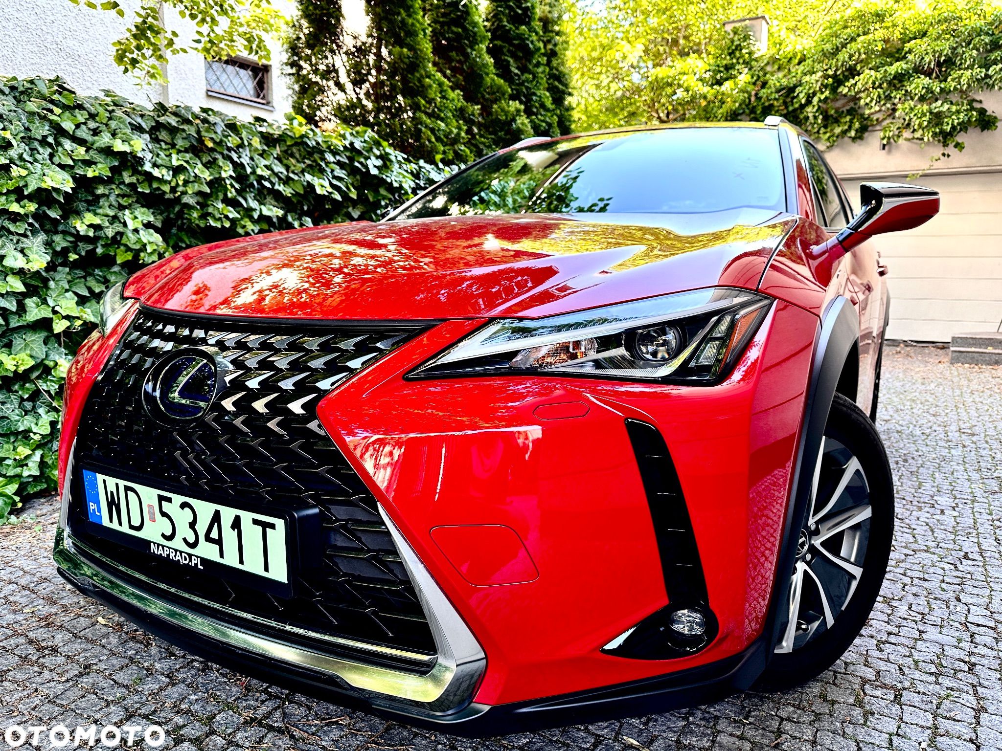 Lexus UX 300e 54.3 kWh Business Edition 2WD - 1