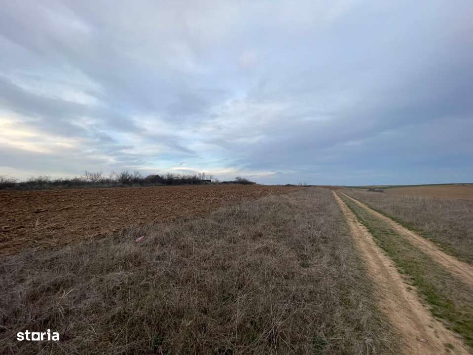 Teren extravilan 2000mp parcelat Malu Mare - Imagine principală: 3/3