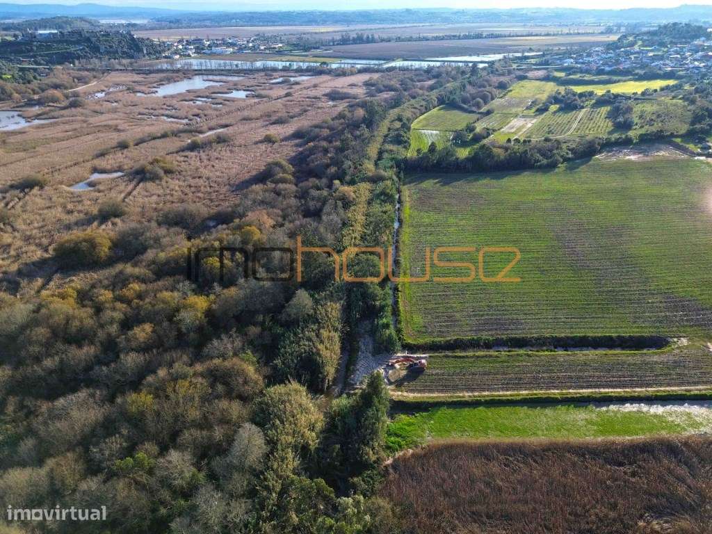 Quinta de 3,24ha - A 5min. Montemor-o-Velho-10