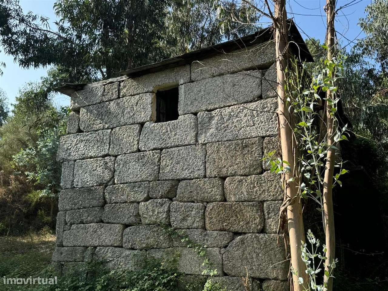 Terreno Misto  Venda em Lufrei,Amarante - Grande imagem: 5/20