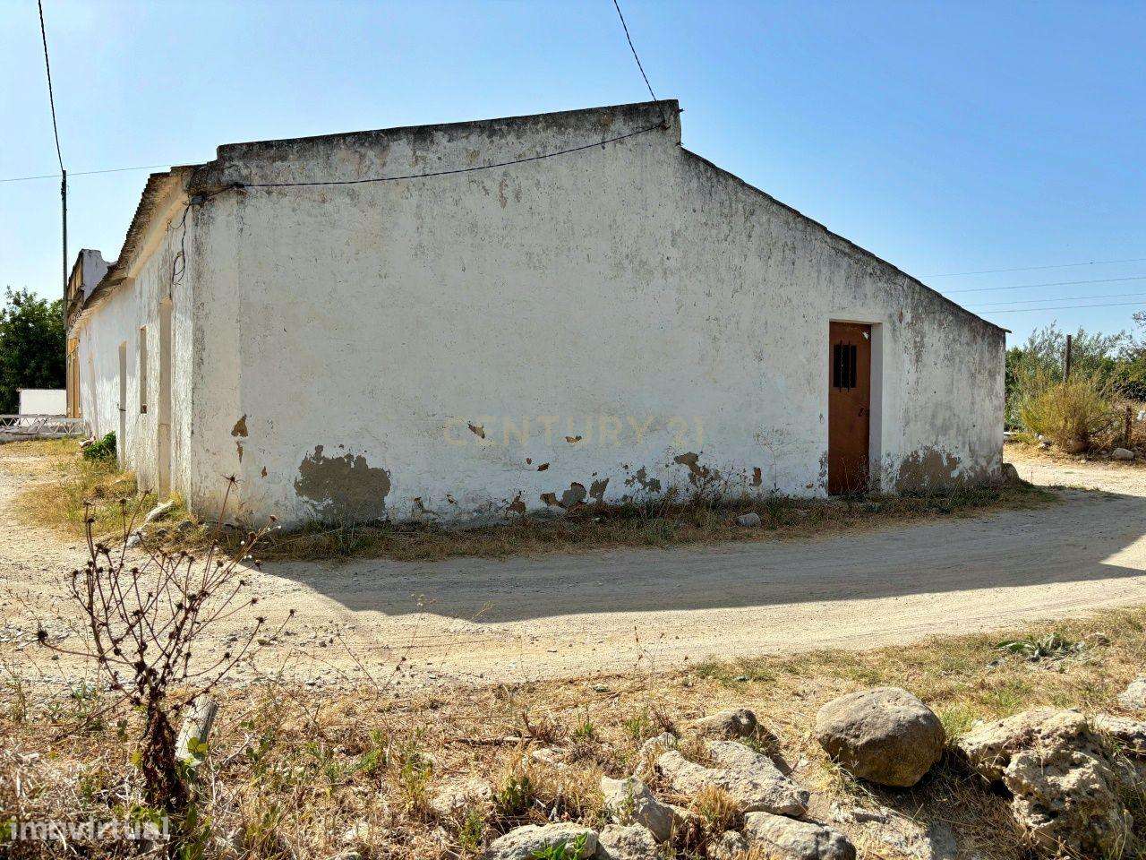 Oportunidade de aquisição conjunta – Dois imóveis no Brejo, Luz de Tav - Grande imagem: 5/29