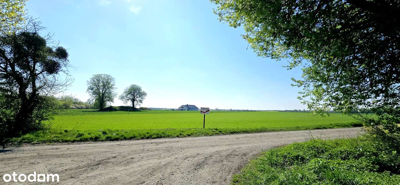 Działka 2244m2 , Kołata , Pobiedziska - Pełny obrazek: 3/13