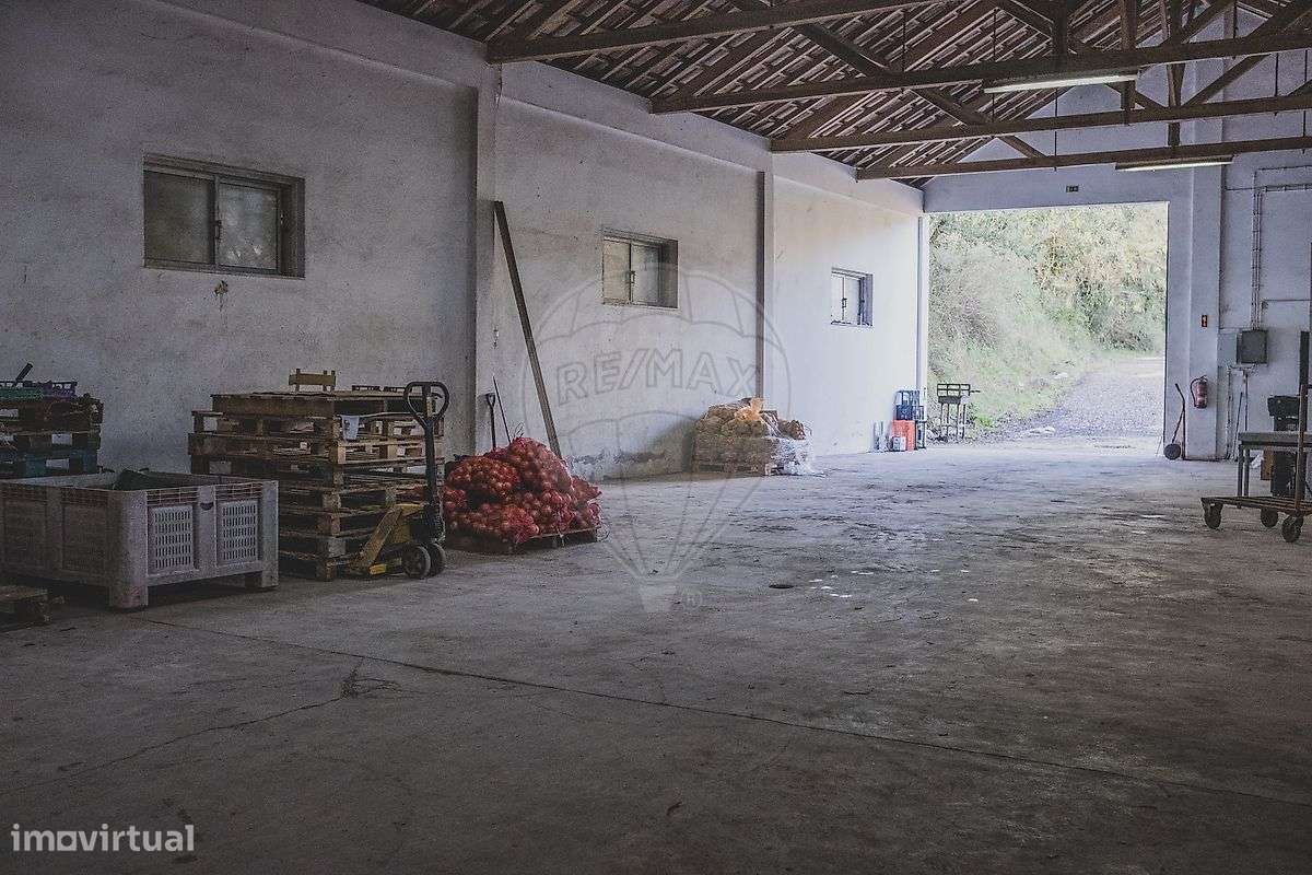 Armazém  para arrendamento - Grande imagem: 3/15