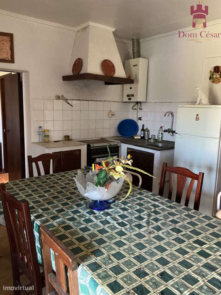 Propriedade Rústica de 1hct com Moradia -  Ribatejo - Raposa, Almeirim - Grande imagem: 5/19