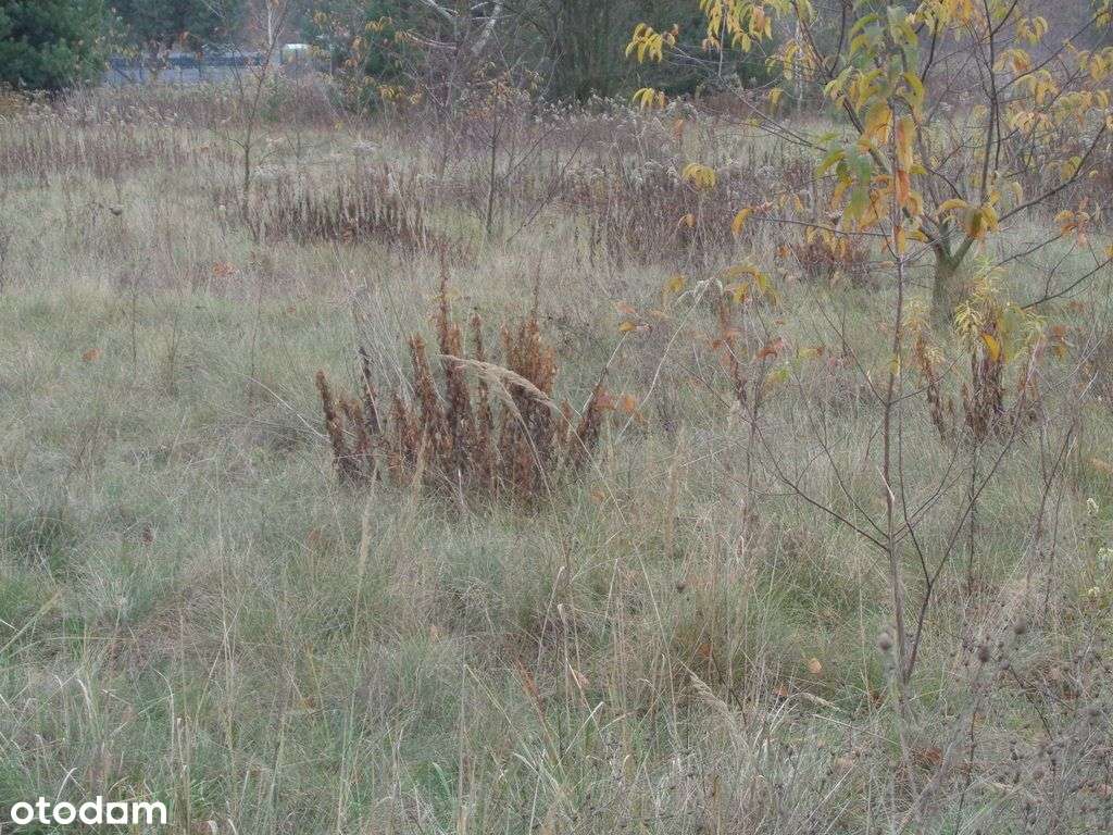 Działka budowlana w pobliżu Kampinoskiego P. N.-5