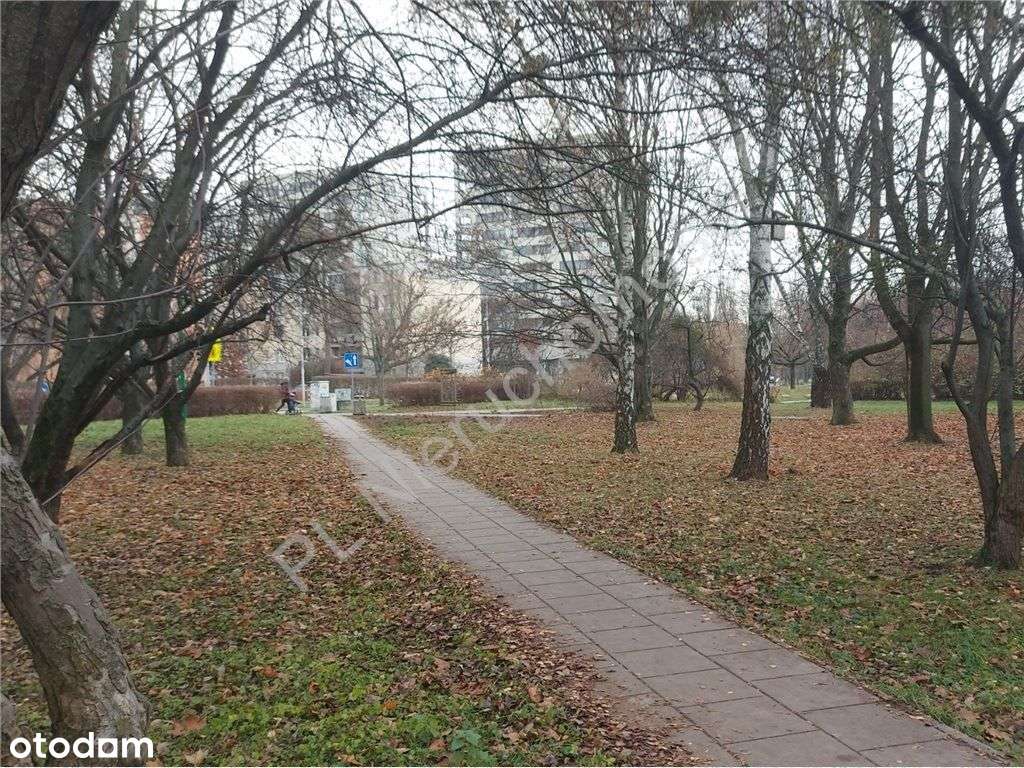 Chwyć za pędzel i stwórz mieszkanie swoich marzeń!-14