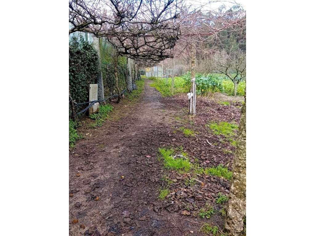 Quinta em Vila Nova de Famalicão - Gondifelos | 6.000 m² de Terreno...-19