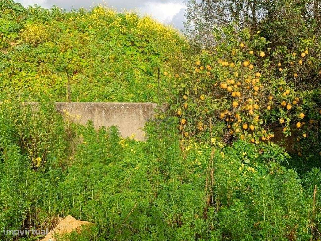 Excelente oportunidade para construção de 1 ou 2 moradias total 880...-16