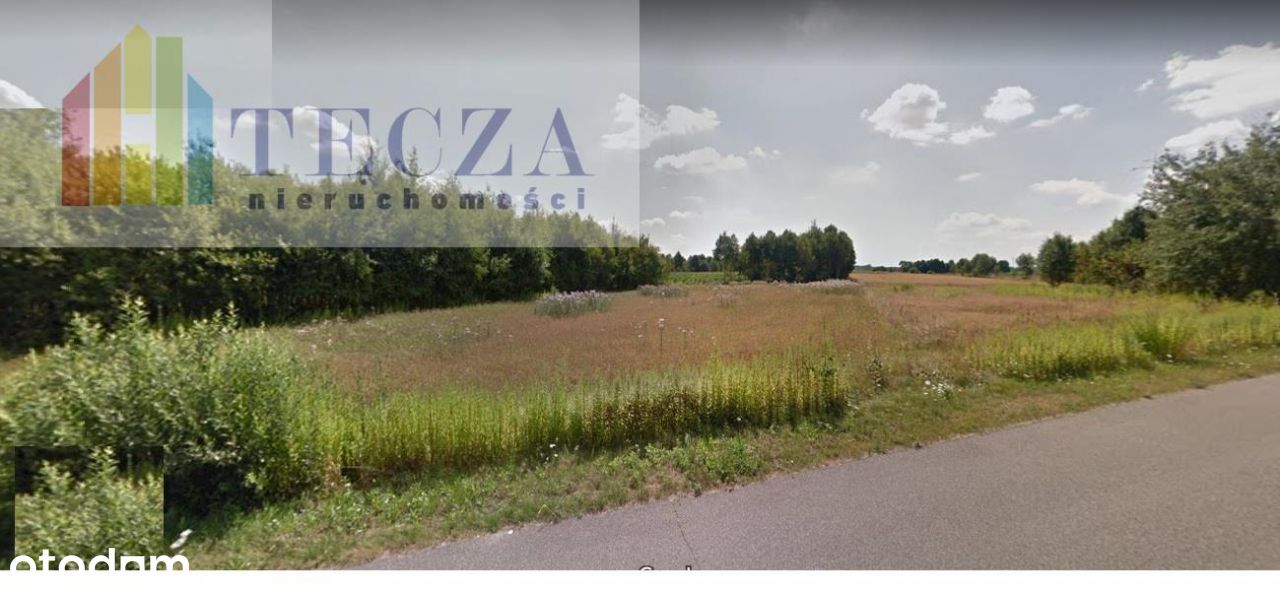 Głośna,1300m2,Wz,Olesin,gm.Dębe Wielkie,80zł/m2