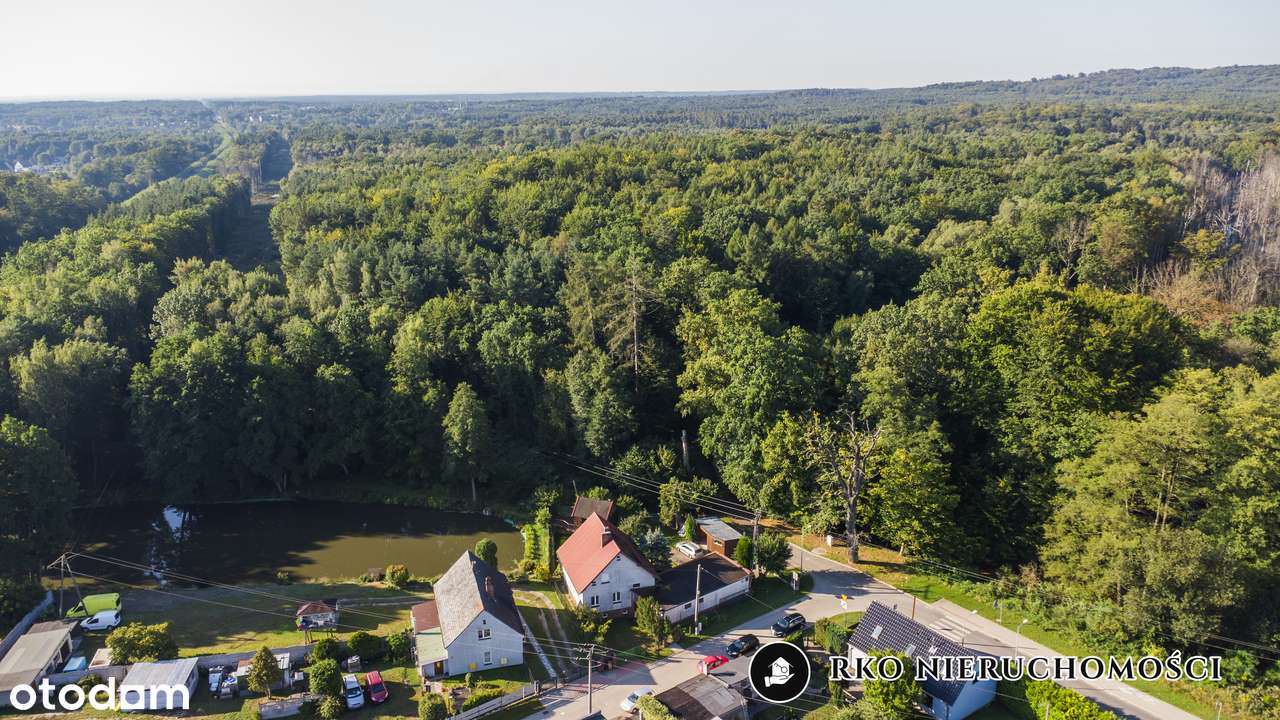 Dom z warsztatem, domkiem z sauną i stawem – Żary - Pełny obrazek: 5/20