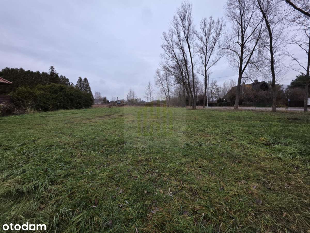 275145 - Pełny obrazek: 4/6