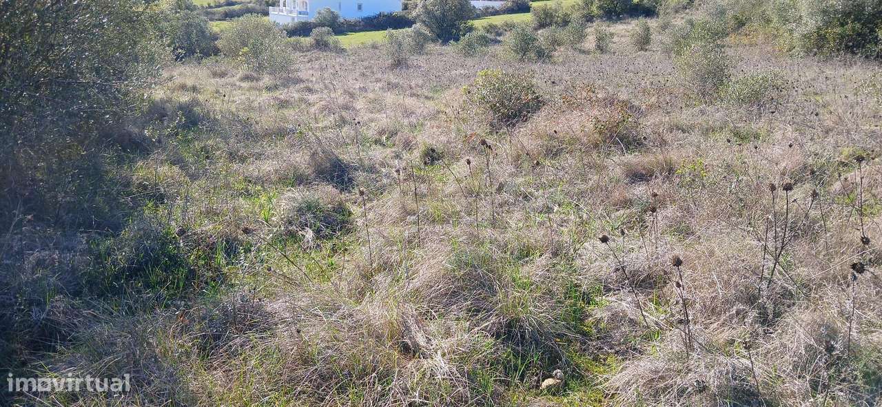 Terreno Rústico - Grande imagem: 3/9