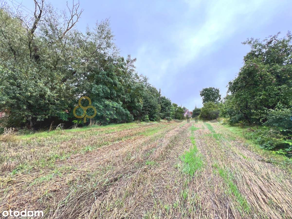 Działka budowlana, 1600m2, blisko media - Pełny obrazek: 3/3