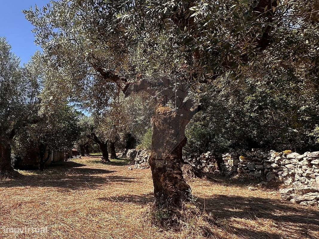 Moradia T2 para venda - Grande imagem: 5/16