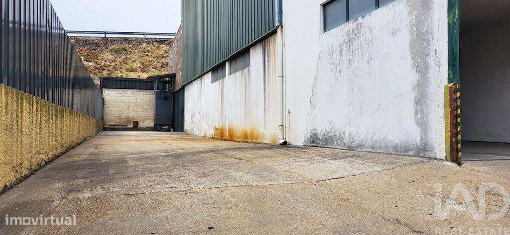 Armazém em Oiã de 569,00 m2 - Grande imagem: 5/30