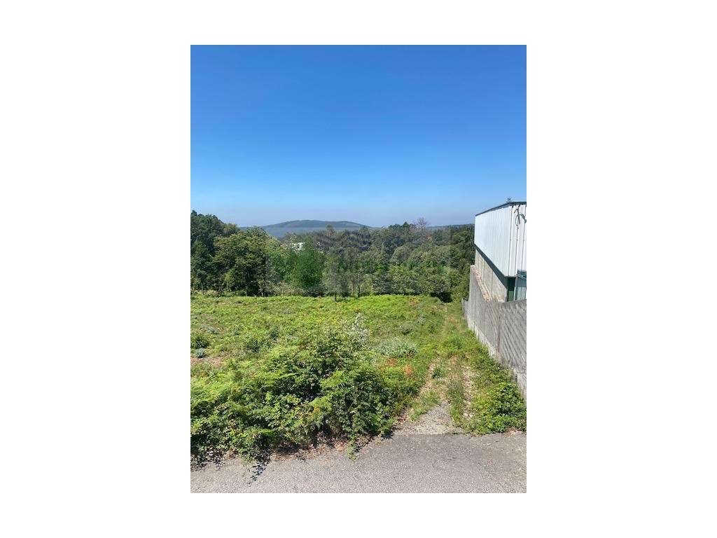 TERRENO PARA CONSTRUÇÃO | 5.000 m² SILVA ESCURA - SEVER DO VOUGA - Grande imagem: 4/7