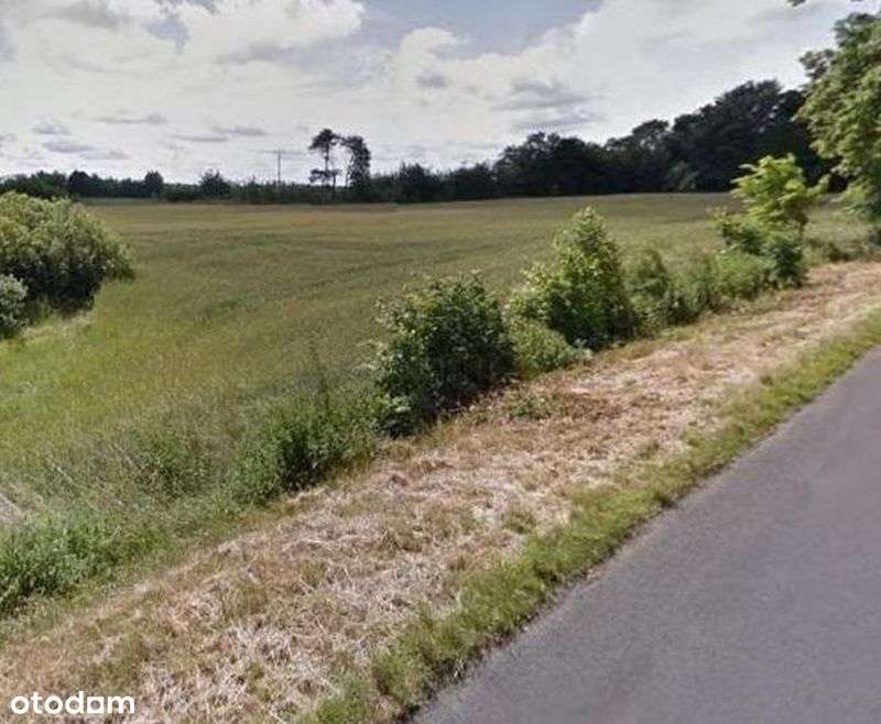 Kołobrzeg-Gosław . Działki rolne 3100 m2 . Morze . - Pełny obrazek: 4/13