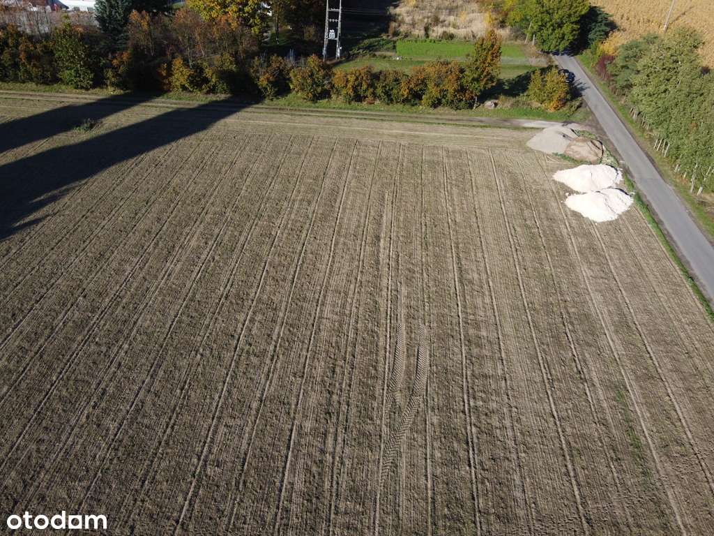 Na sprzedaż piękna działka w Policzny! 2673 m² - Pełny obrazek: 5/12