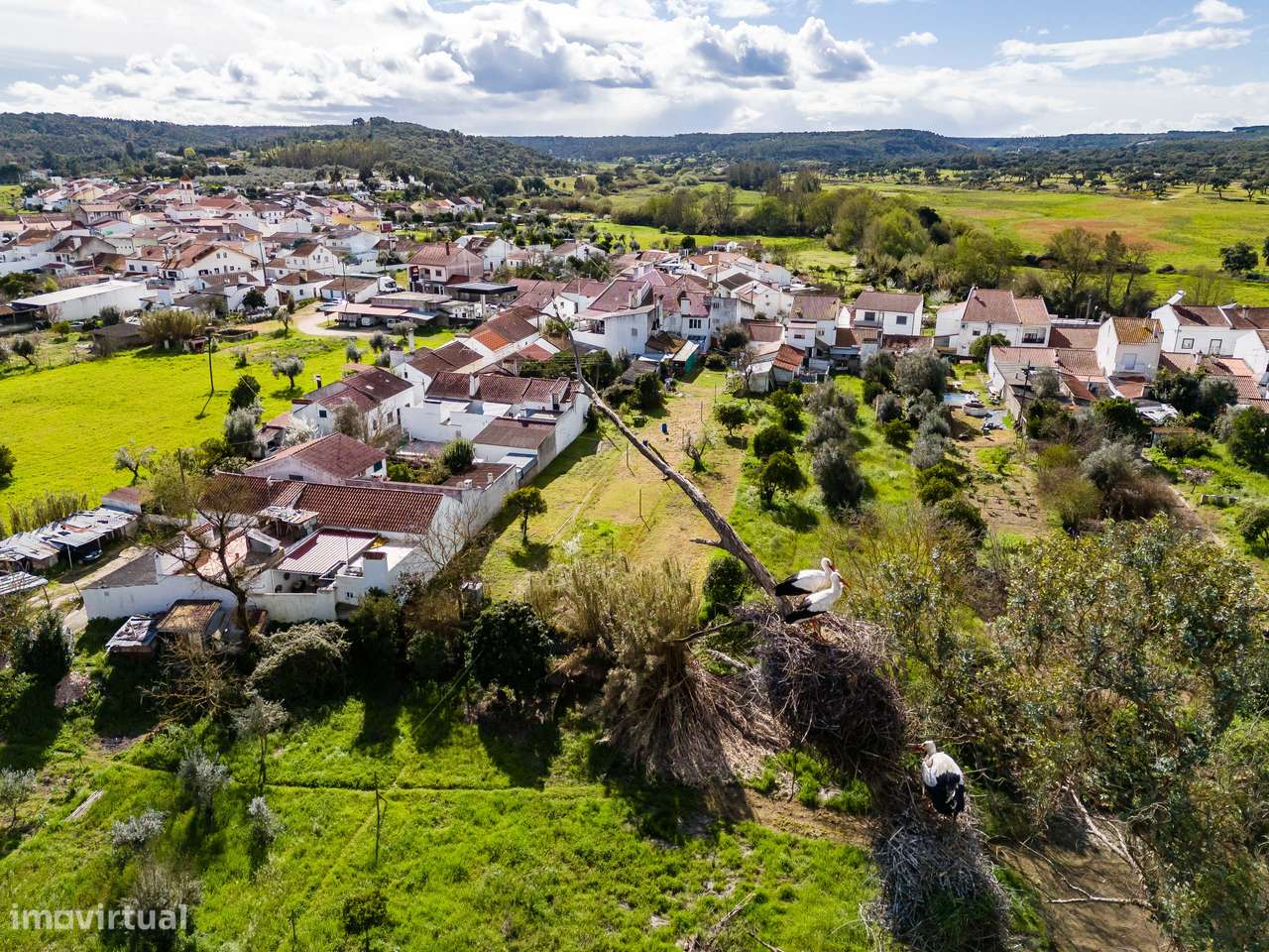 MORADIA T1 + ANEXOS E TERRENO | BEMPOSTA | ABRANTES-2