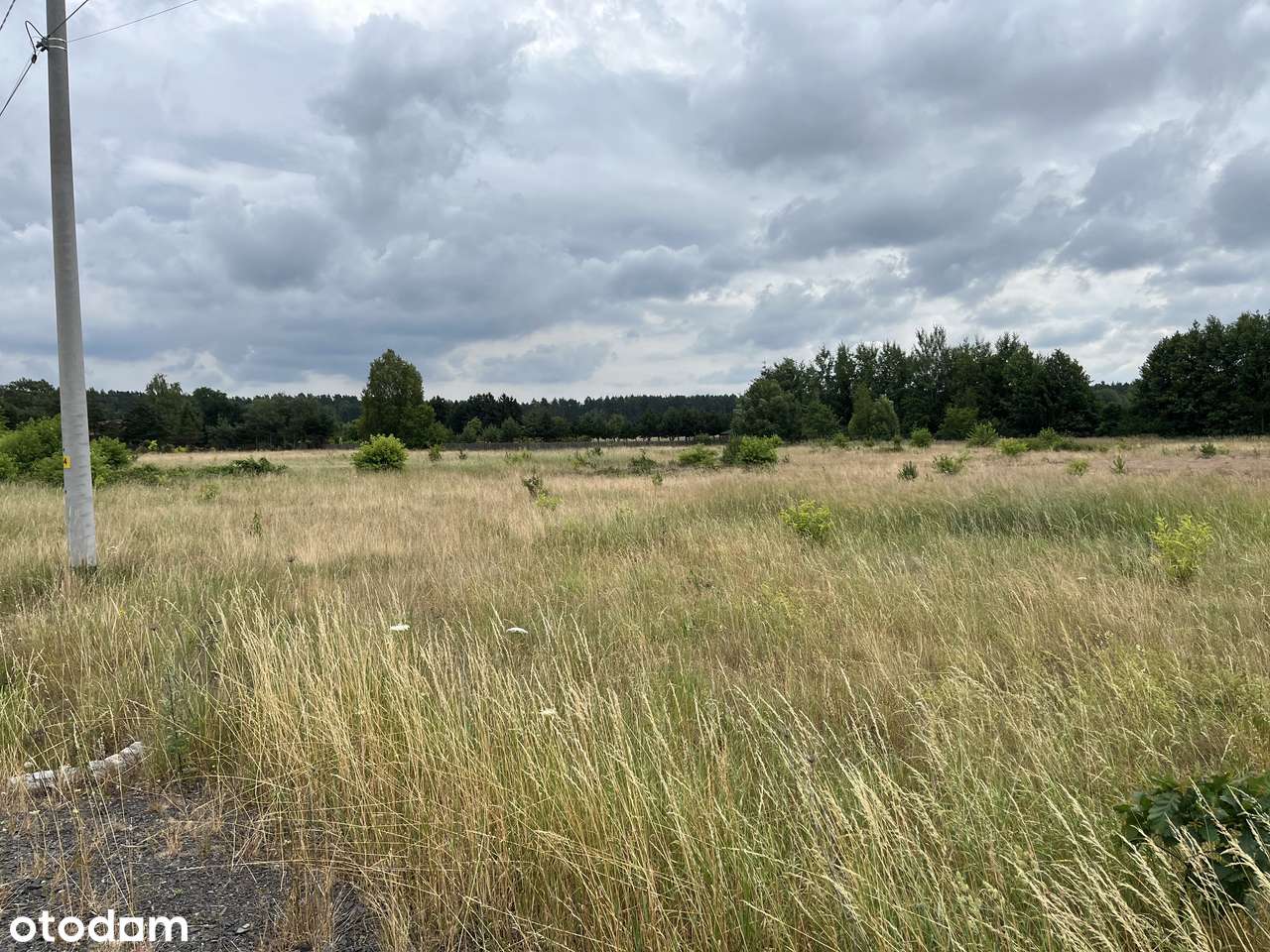 Dąbrowa gmina Przystajń dwie działki 1186 i 1188 m - Pełny obrazek: 4/7