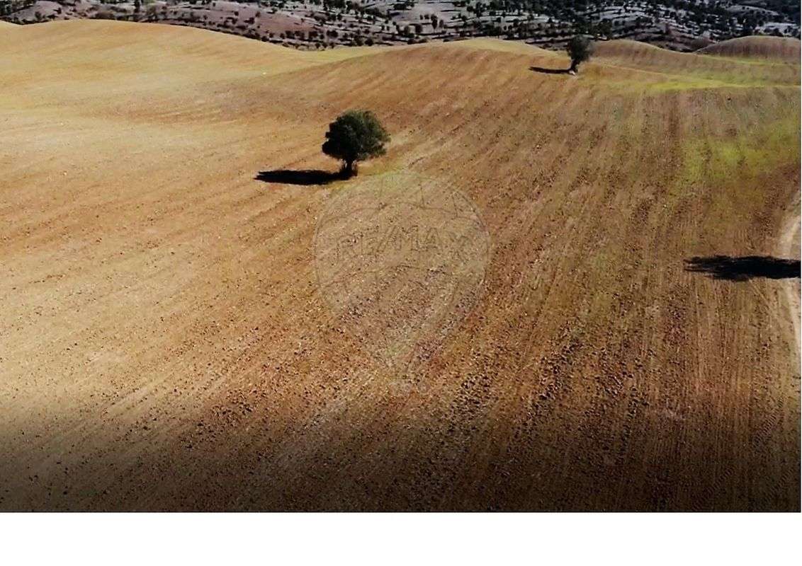 Quinta T3 para venda-6