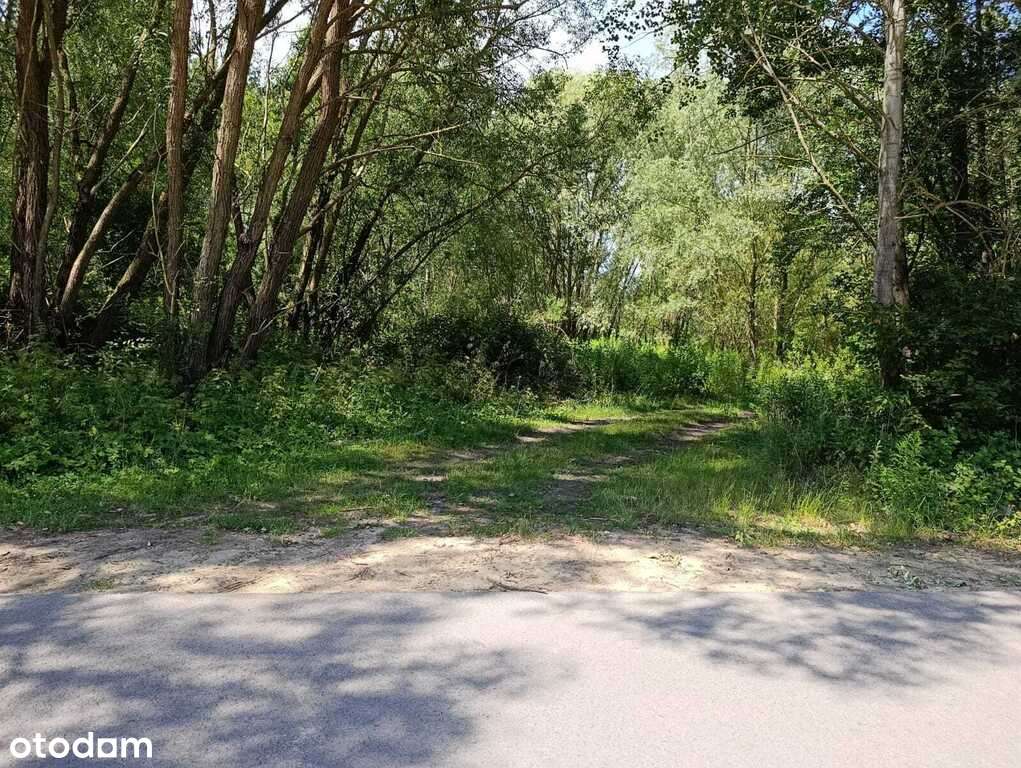 Działka w Doliwiu-4