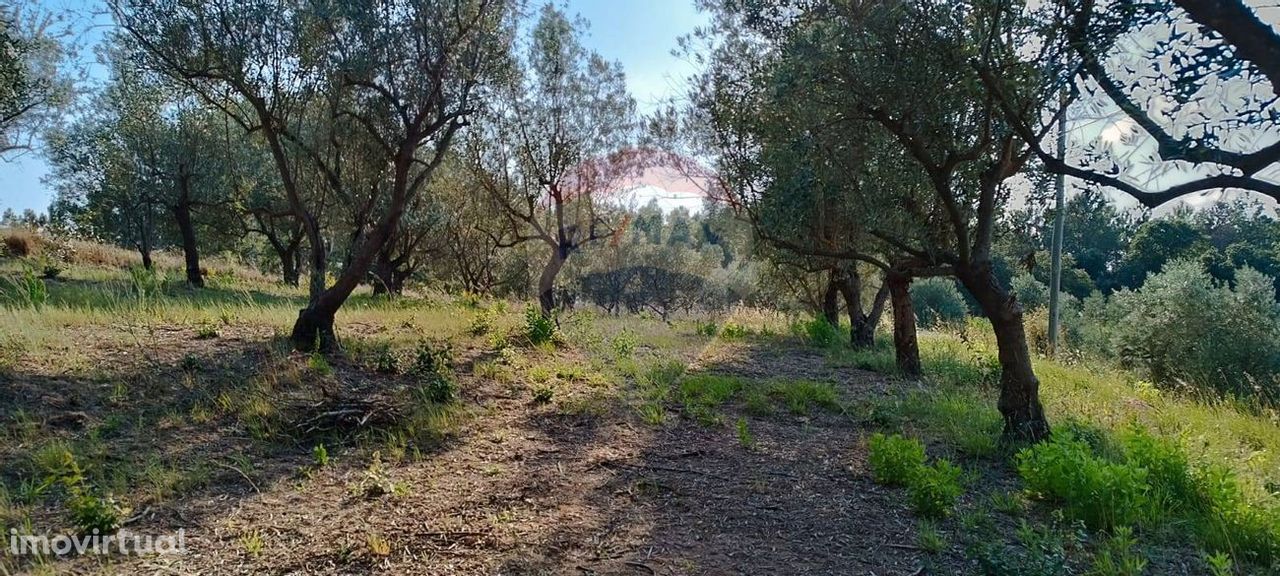 Terreno  para venda