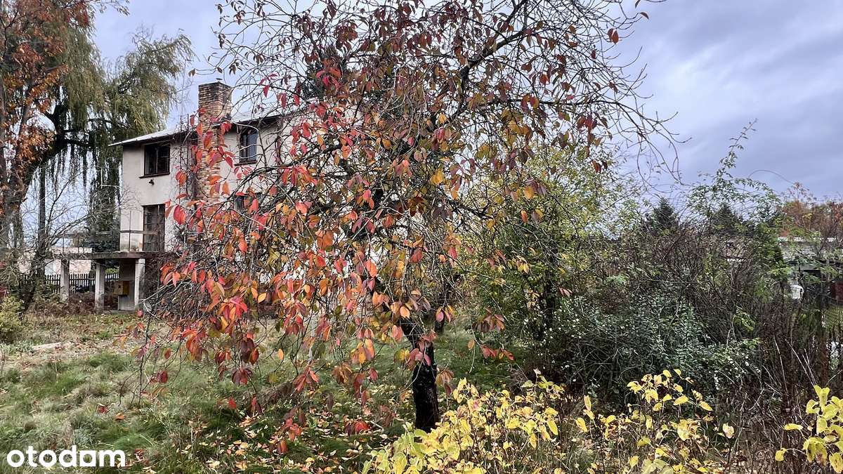 Działka narożnikowa z potencjałem w pobliżu lasu-5