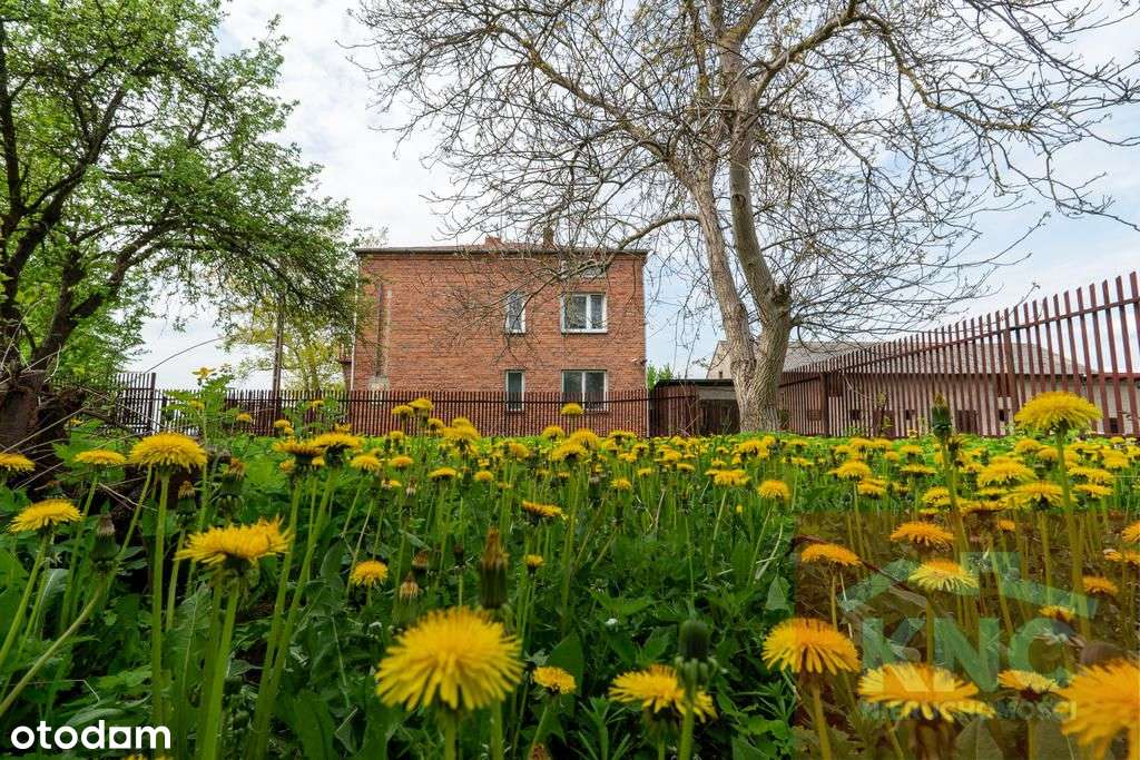 Dom/zabudowania -  Działka 3100 m2 - Pełny obrazek: 5/12