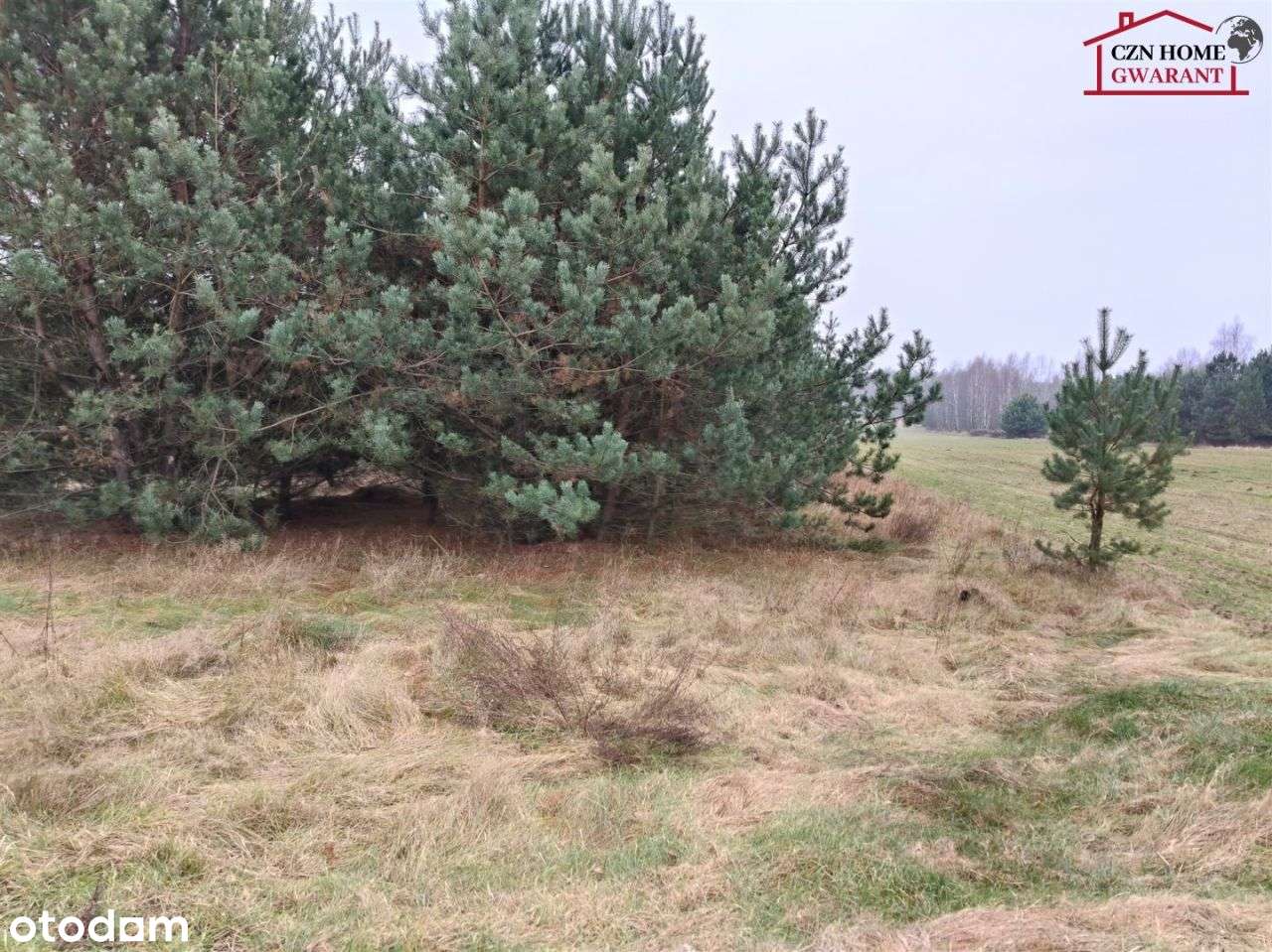 Działka rolno budowlana pod inwestycję.-6