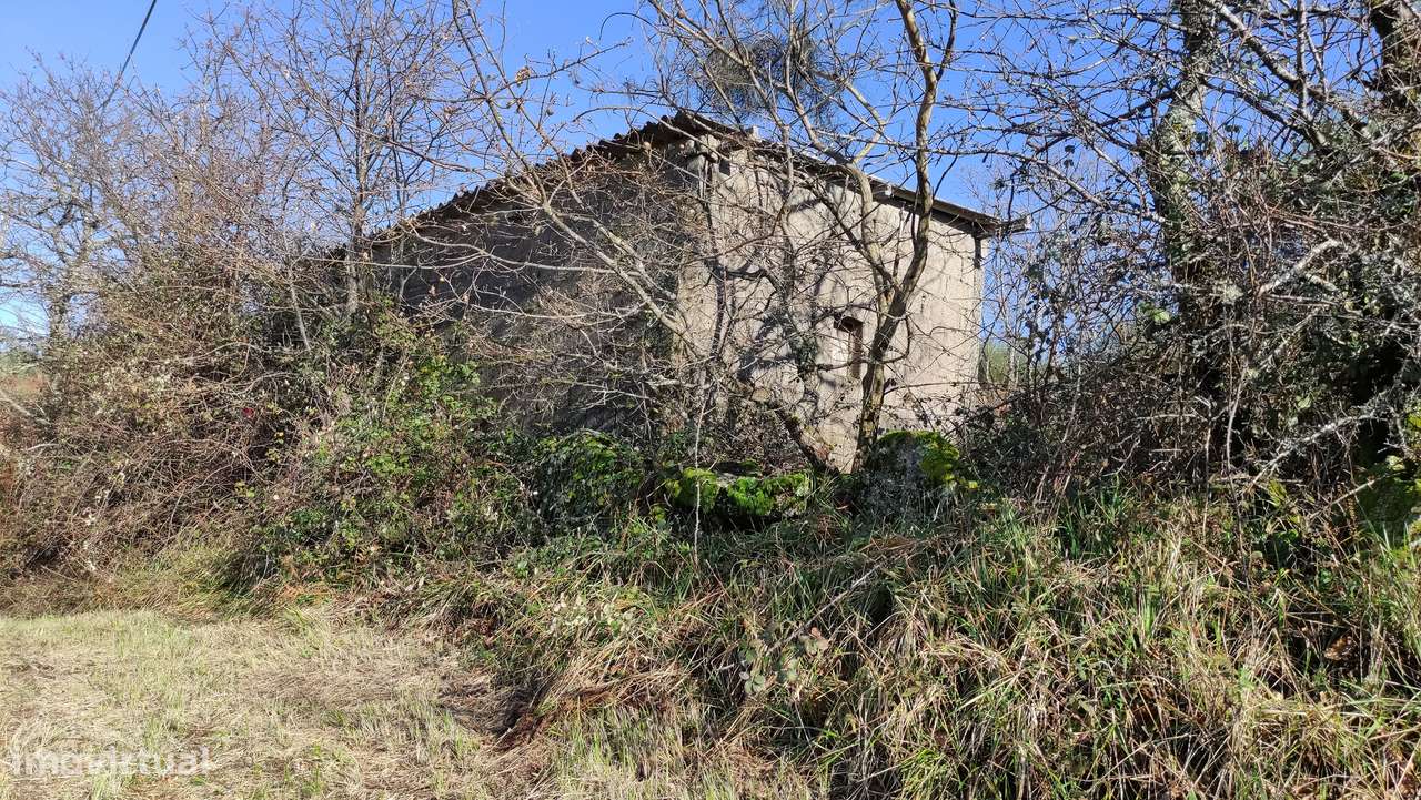 Terreno Rústico  Venda em Gouveia (São Simão),Amarante-12