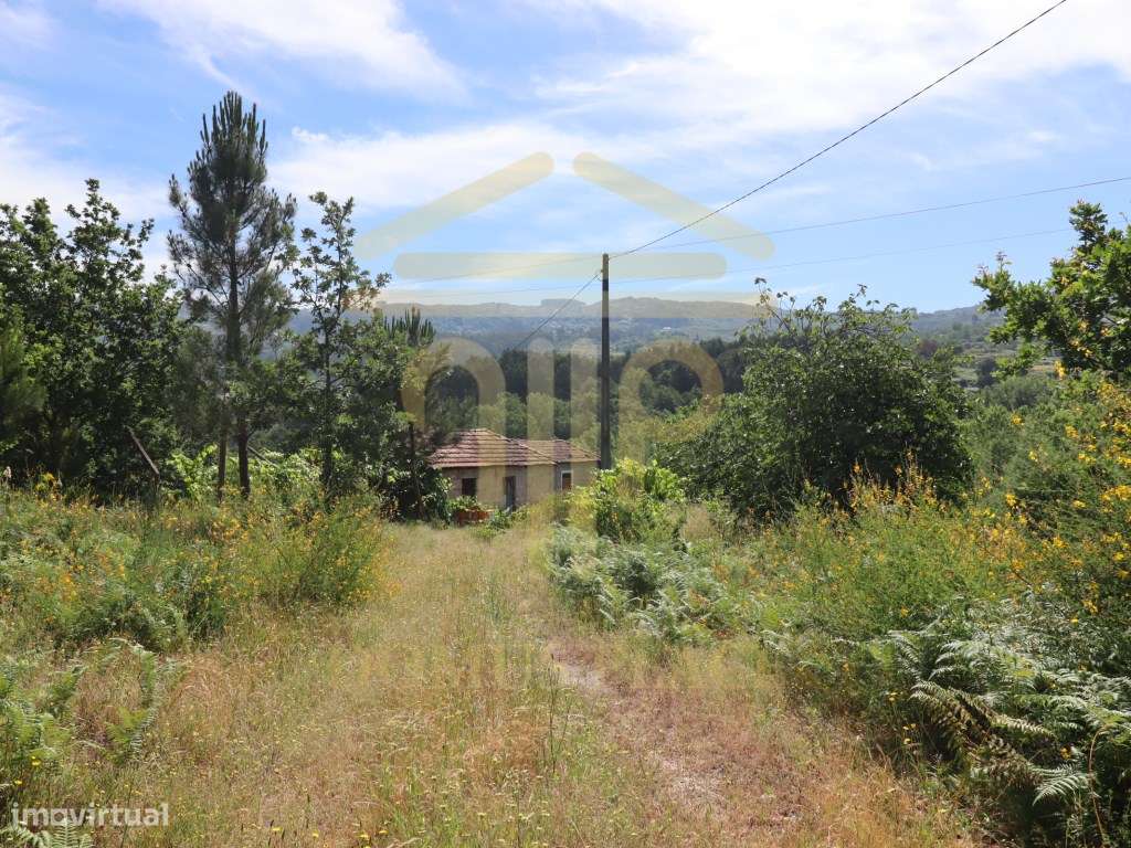 Terreno com 17.800 m², Casa para Reconstruir e mina de Água - Soalh...-26