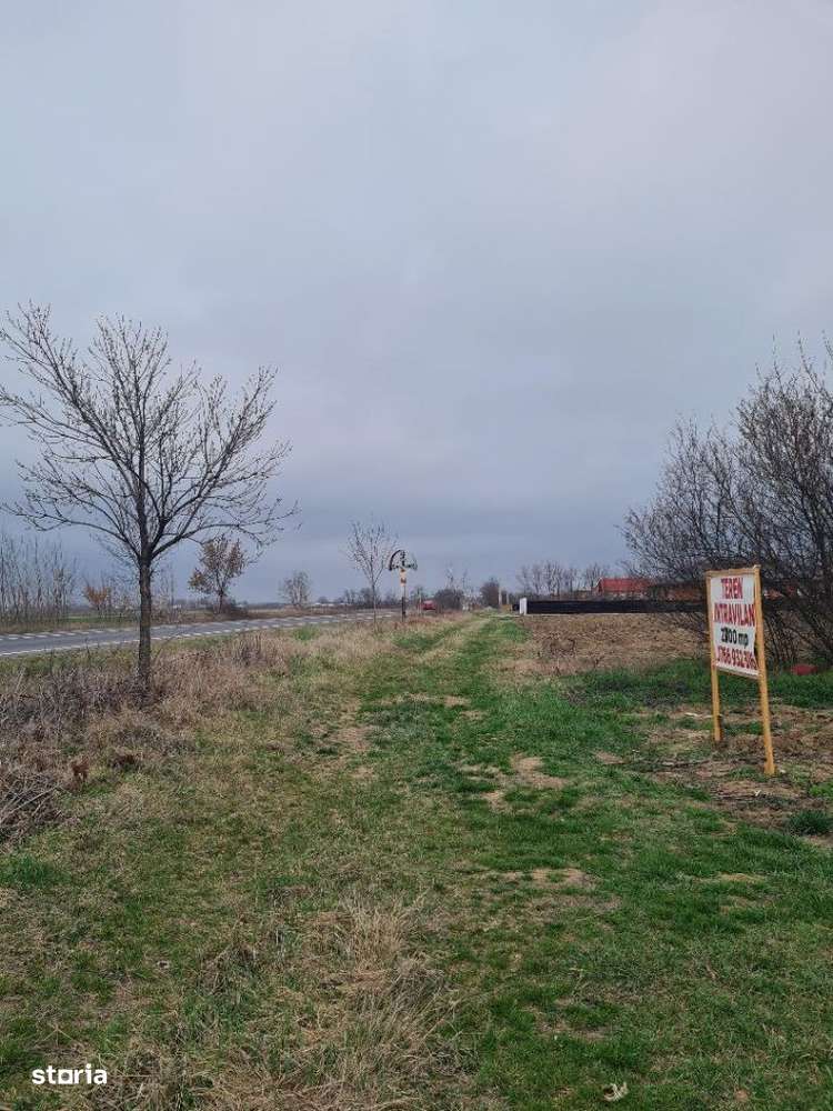 Teren suprafata 5 500 mp Albota - Imagine principală: 3/5