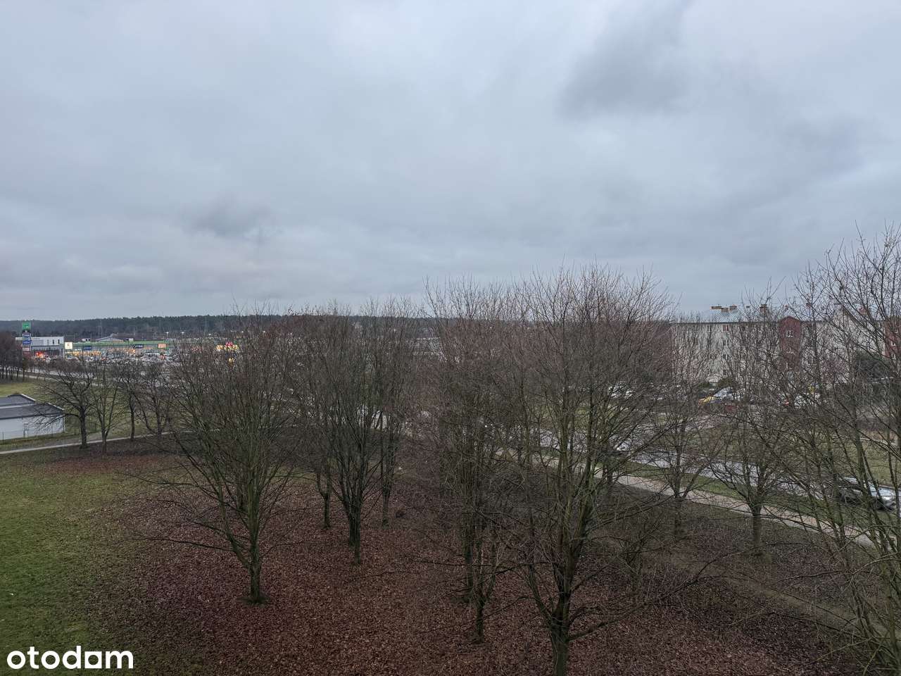 2-pokojowe mieszkanie ul. Wolności (do remontu) - Pełny obrazek: 5/5