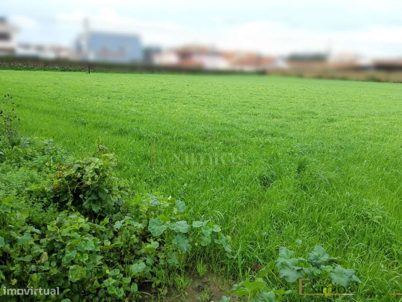 Terreno para construção, em Touguinha - Grande imagem: 3/5