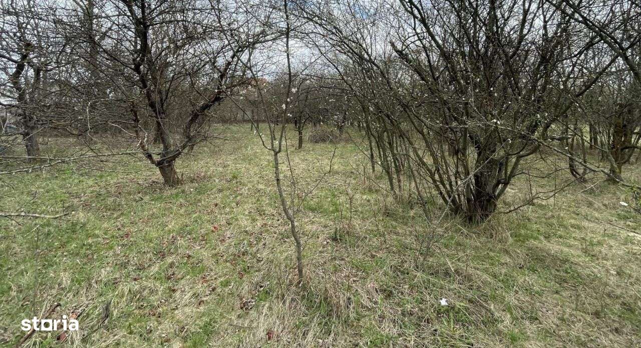 Targoviste-Priseaca-6