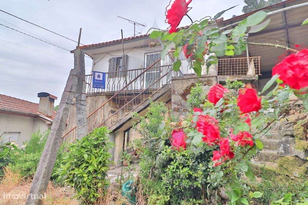 Quintinha em Escudeiros c/ aprox 3.200m2 e duas casas-36