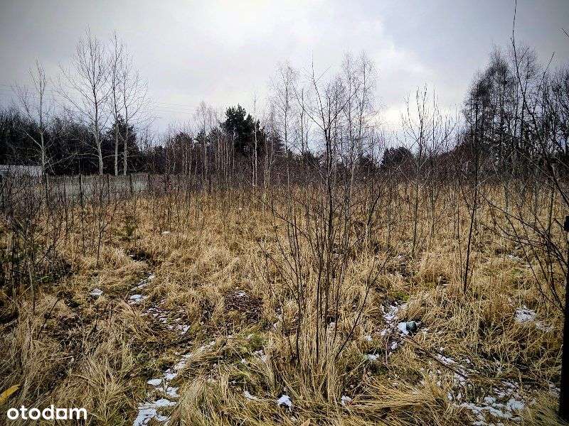 LISINIEC  DZIAŁKA  SPRZEDAŻ-1