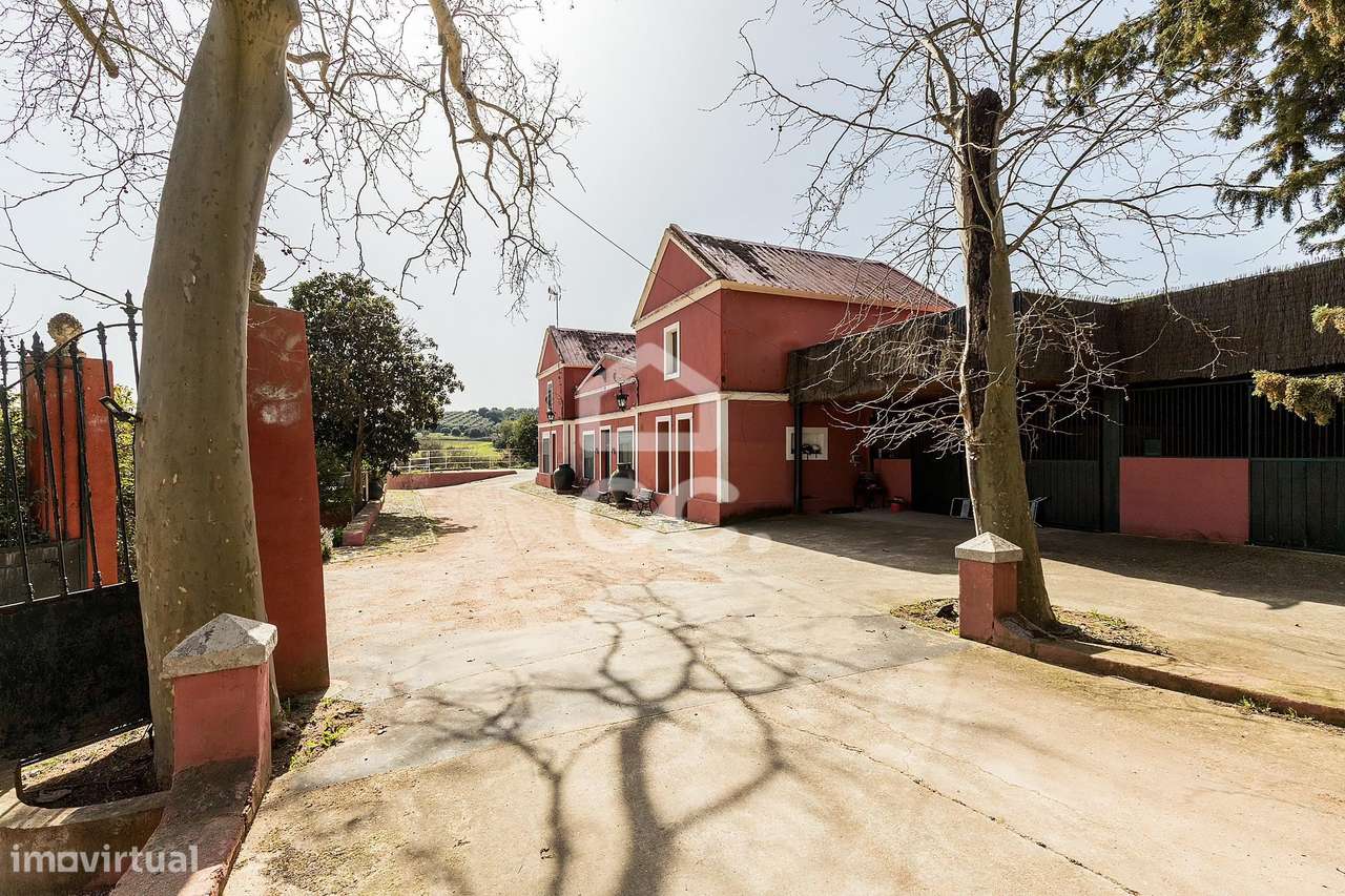 Palacete de inspiração neoclássica francesa com jardim botânico de Jea-54