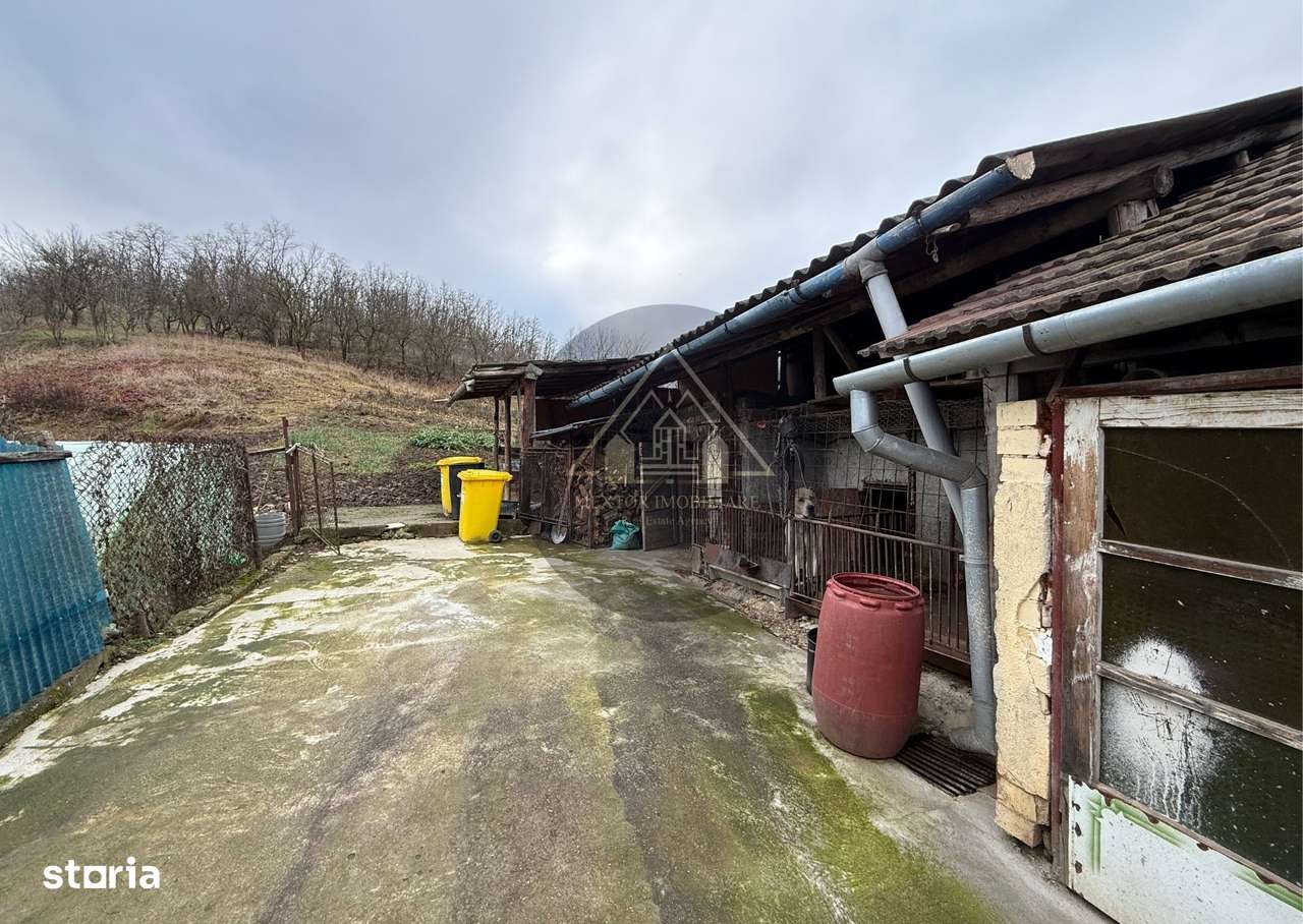 Casa 3 camere, Medias-16