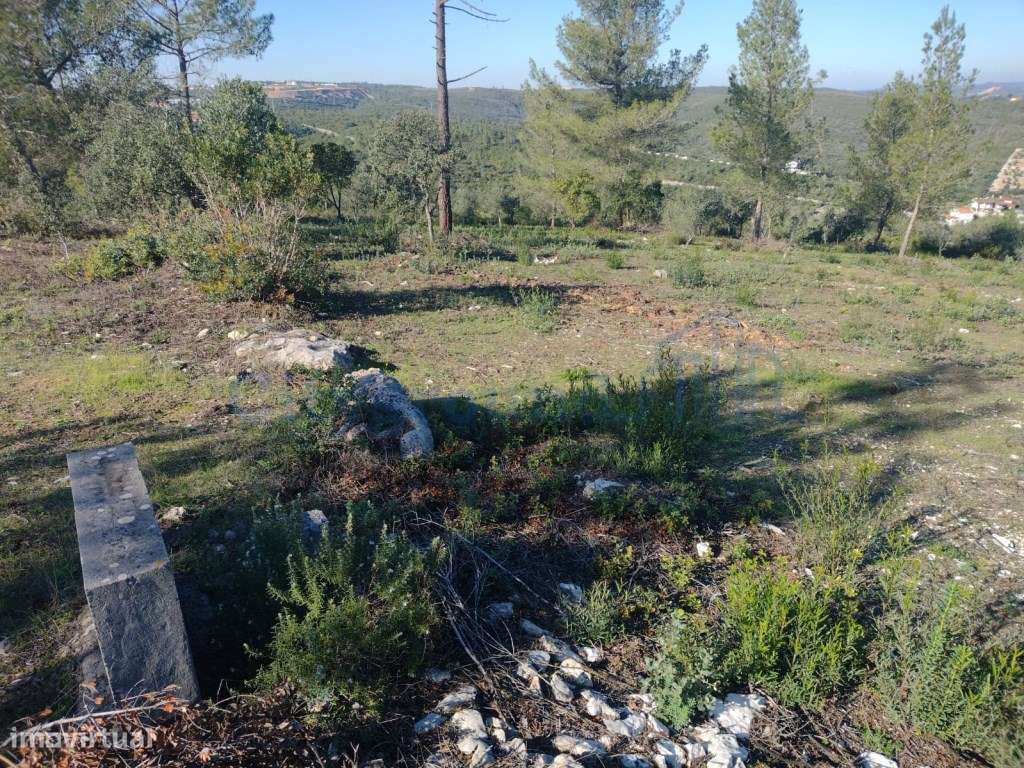 Terreno de 1505m2 urbanizável em Ortiga, Fátima com vista Castelo O...-5