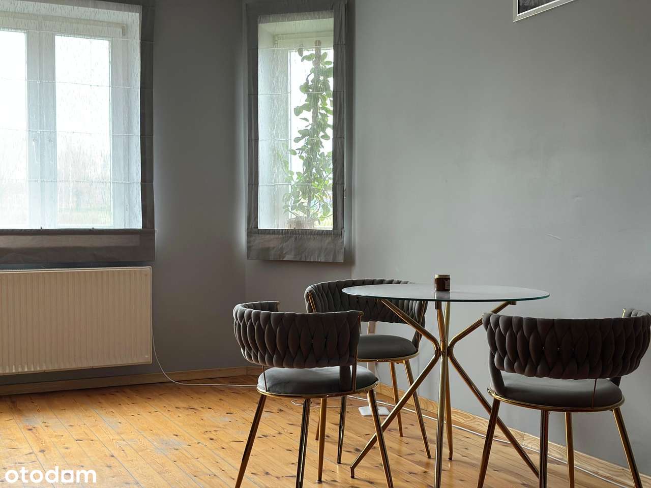 Nieruchomość pod agroturystykę/stadninę/hodowlę zwierząt/mini zoo-9