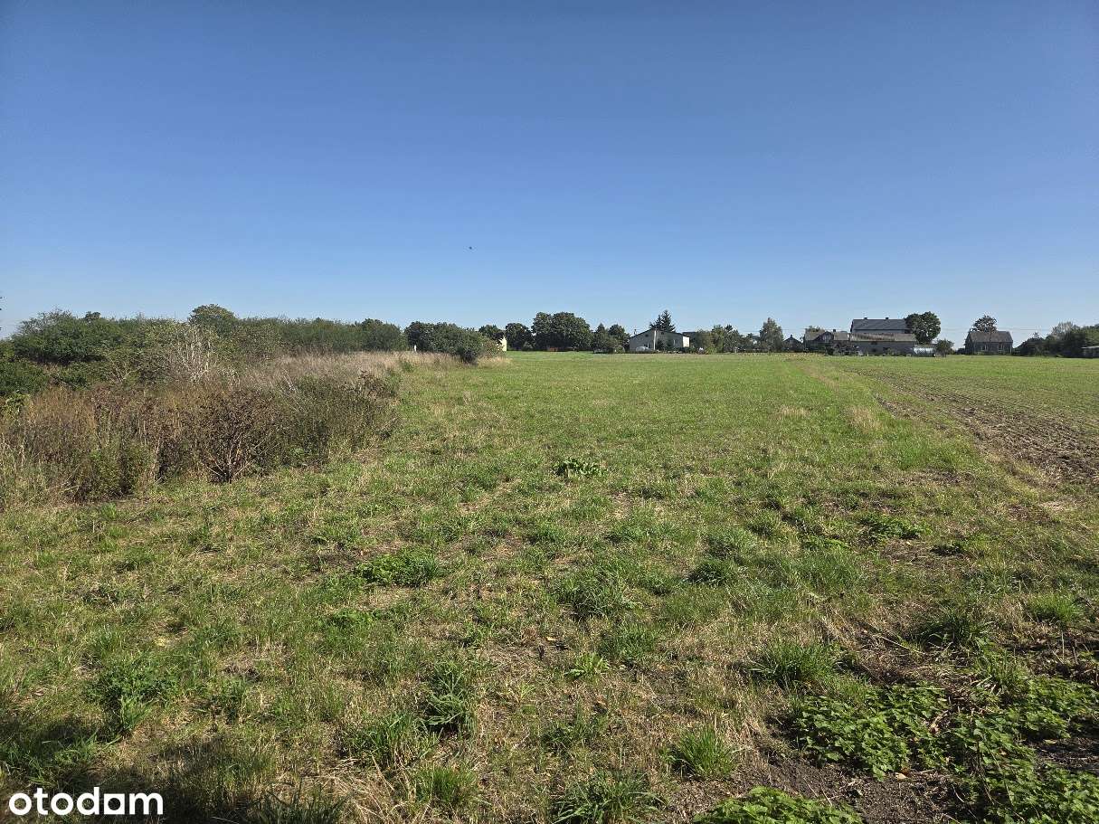 Działka 5500 m2  z domem do rozbiórki z czerwonej cegły - Pełny obrazek: 5/10