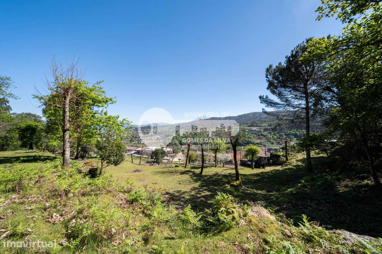 Ruína p/ restauro com 4.800m2 de terreno-12