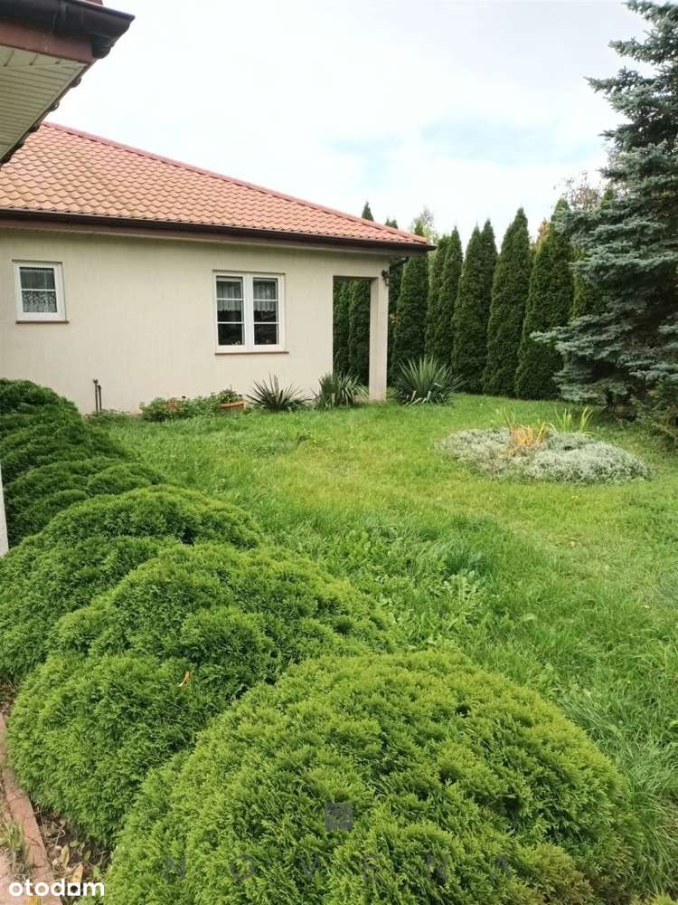 Dom parterowy na Zawiślu – Włocławek-1