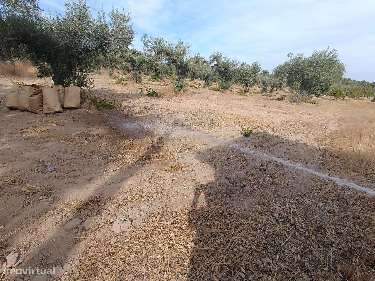 Fabuloso Terreno, Lousa, Castelo Branco - Grande imagem: 3/29